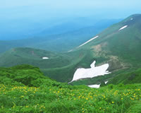 駒ケ岳のイメージ